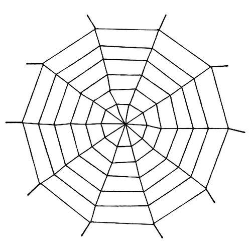 Teia de Aranha Preta Gigante