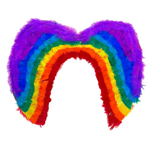 Asa de Anjo Arco Íris