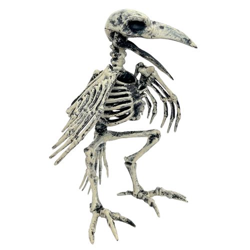 Esqueleto 3D Pássaro