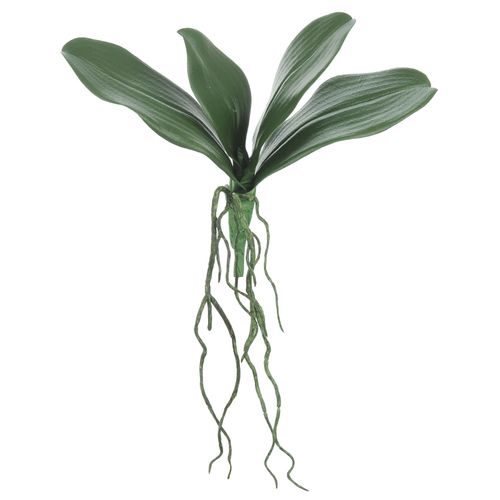 Folha de Orquídea Phalaenopsis com Arame - 24cm