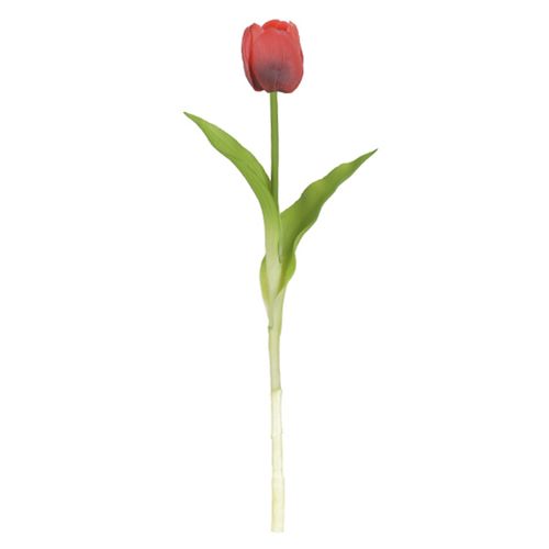 Tulipa Toque Real Vermelha - 37cm