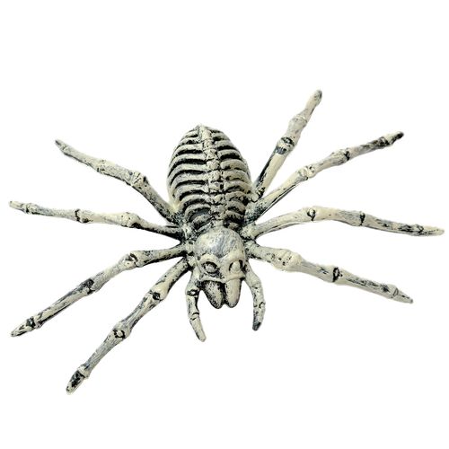 Esqueleto 3D Aranha