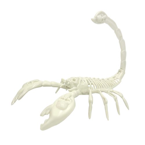 Esqueleto 3D Escorpião