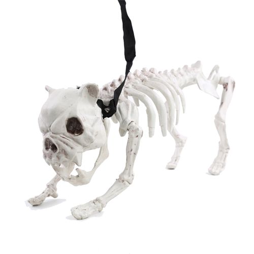 Esqueleto 3D Cachorro