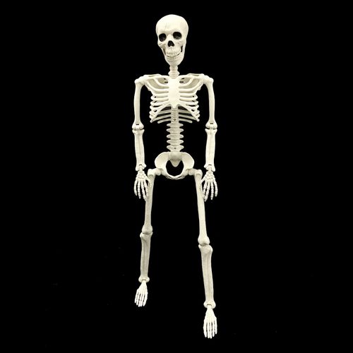 Esqueleto 3D Articulável Grande 90cm