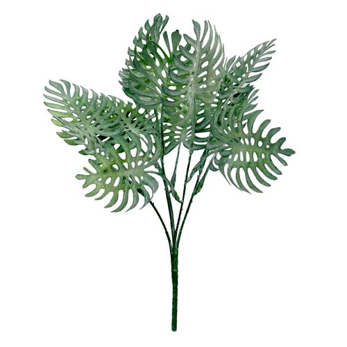 Pick Costela de Adão - 34cm