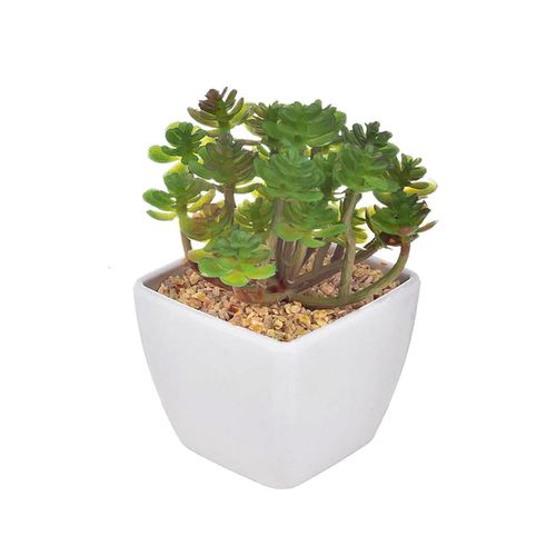 Vaso Arranjo Suculenta - Mod 4