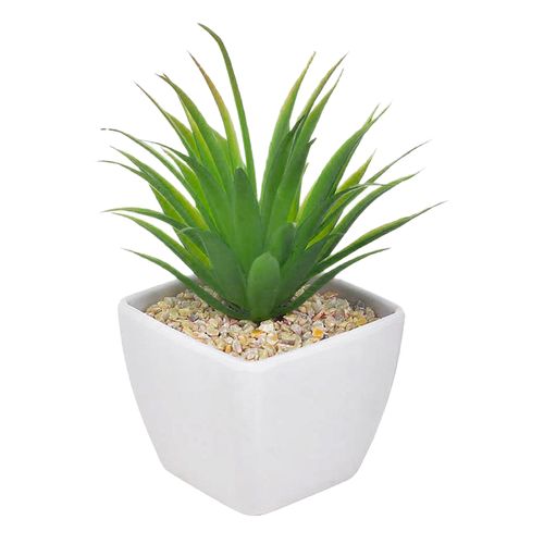 Vaso Arranjo Suculenta - Mod 6