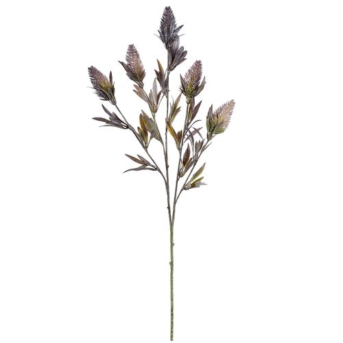 Haste Sementes Silvestres Vinho - 67cm