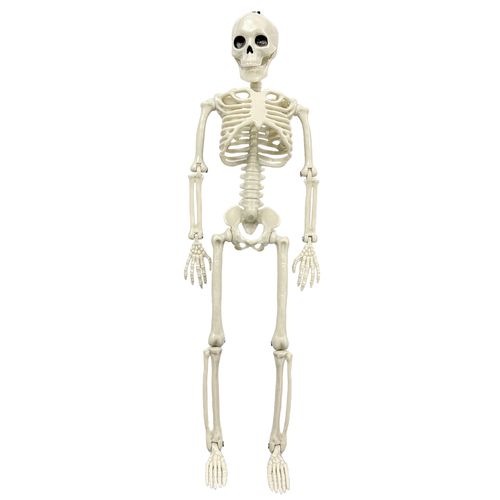 Esqueleto 3D - 40cm