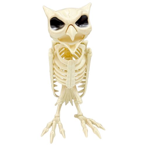 Esqueleto 3D Coruja