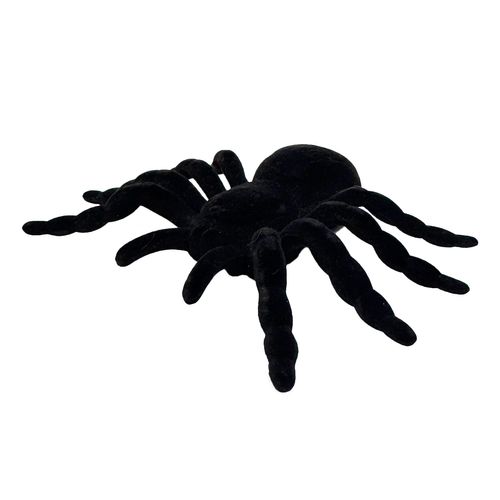 Aranha de Veludo
