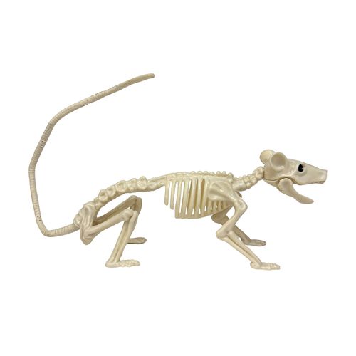 Esqueleto 3D Rato