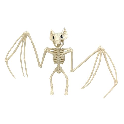 Esqueleto 3D Morcego