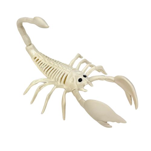 Esqueleto 3D Escorpião Mod 2