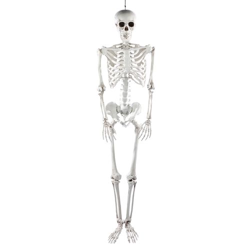 Esqueleto 3D Articulável 185cm