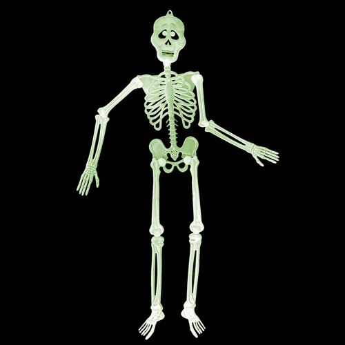 Esqueleto Fluorescente Articulável 90cm