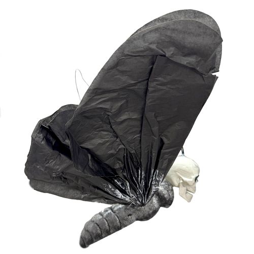 Esqueleto 3D Borboleta - 38cm