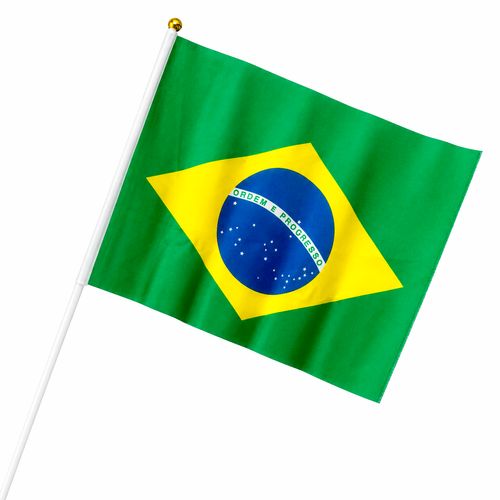 Bandeira do Brasil com Cabo 30x40cm